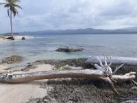 Panama ile sur San Blas